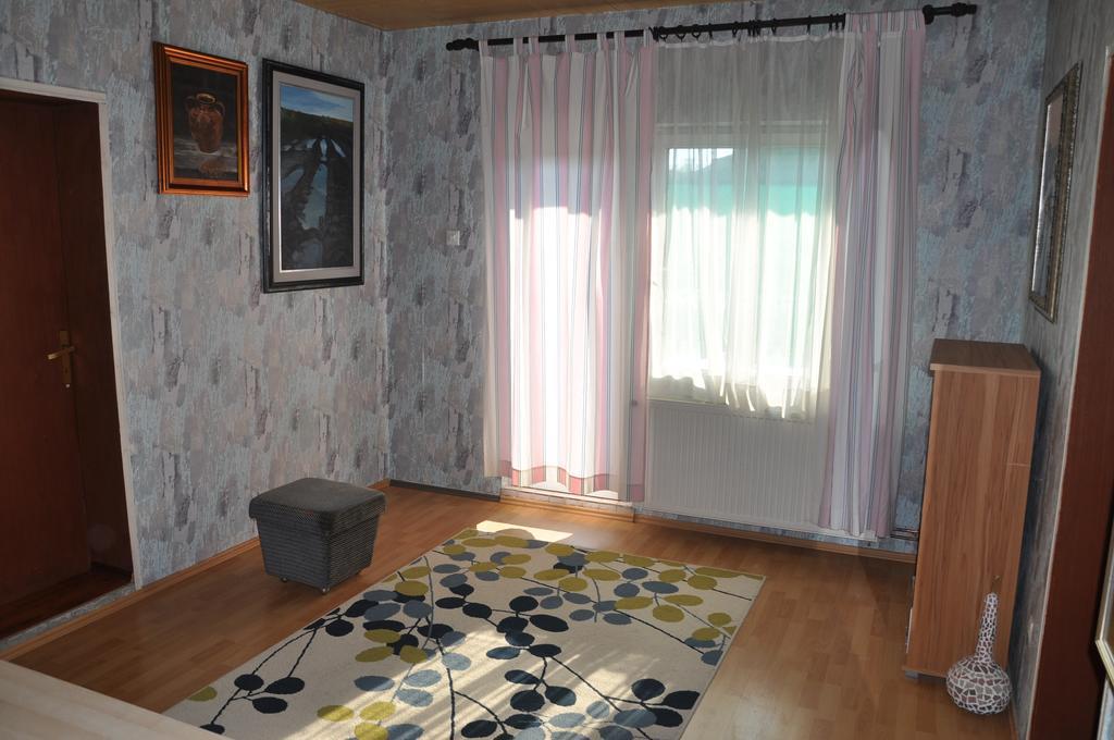 Guesthouse Djuric Negotin Eksteriør billede
